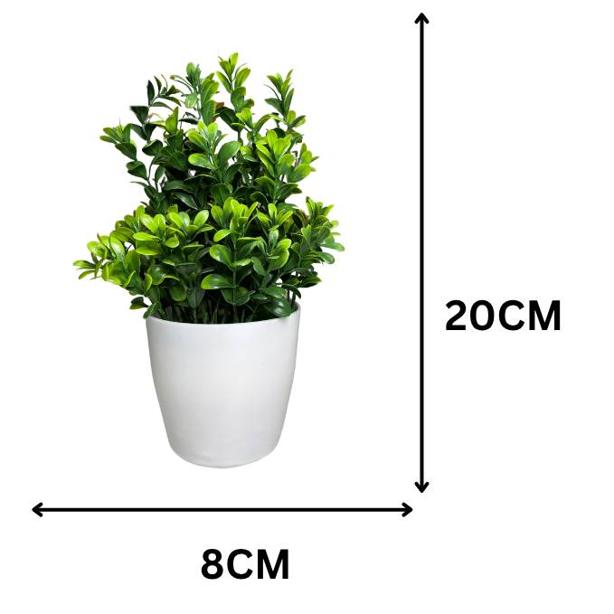 Garden Gyani Artificial Rubber Plant – Small Faux Potted Plant for Tabletop, Home, Bathroom & Office Décor | Indoor Decorative Greenery
