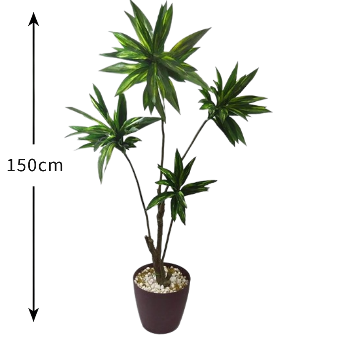 Garden Gyani Cordyline Green X4 – 160 cm Tall Artificial Plant | Lifelike Faux Indoor & Outdoor Décor Without Pot