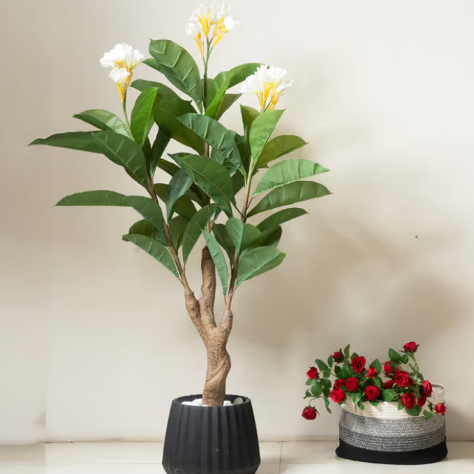 Garden Gyani Frangipani X3 – 150 cm Tall Artificial Plant | Lifelike Faux Indoor & Outdoor Décor Without Pot