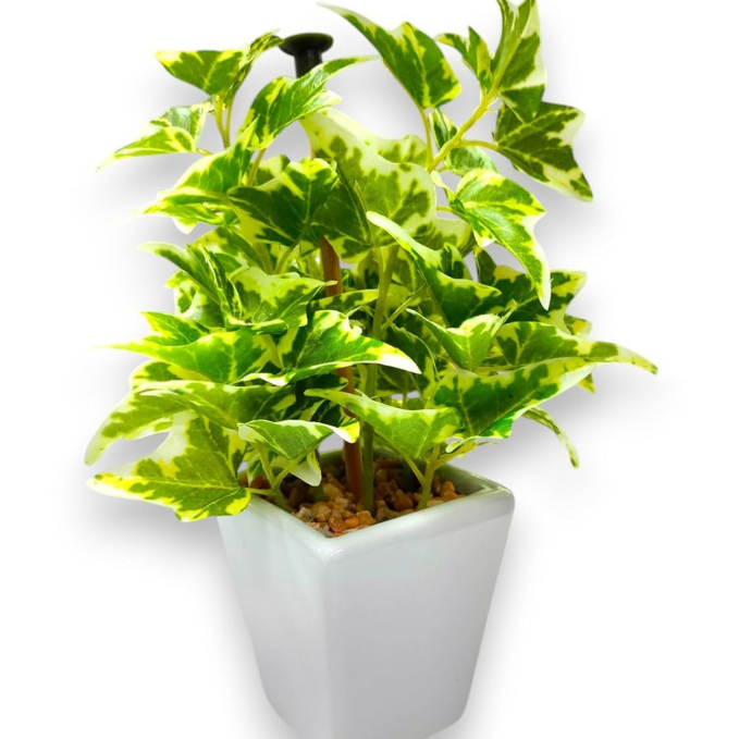 Garden Gyani Mini Artificial Wandering Plant – 19 cm Tall Faux Green Plant with Ceramic Vase | Indoor Decorative Plant for Home & Office Décor