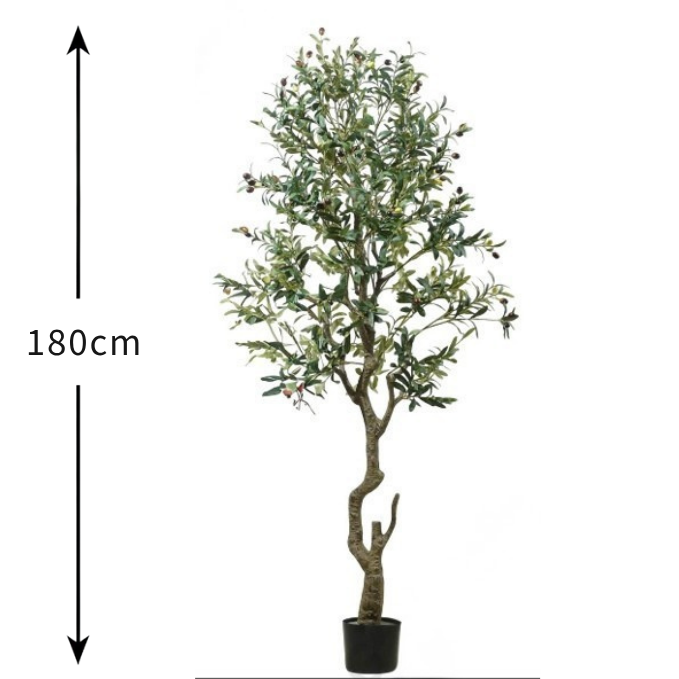 Garden Gyani Spiraal Trunk Olive Tree – 180 cm Tall Artificial Plant with Pot | Lifelike Faux Indoor & Outdoor Décor