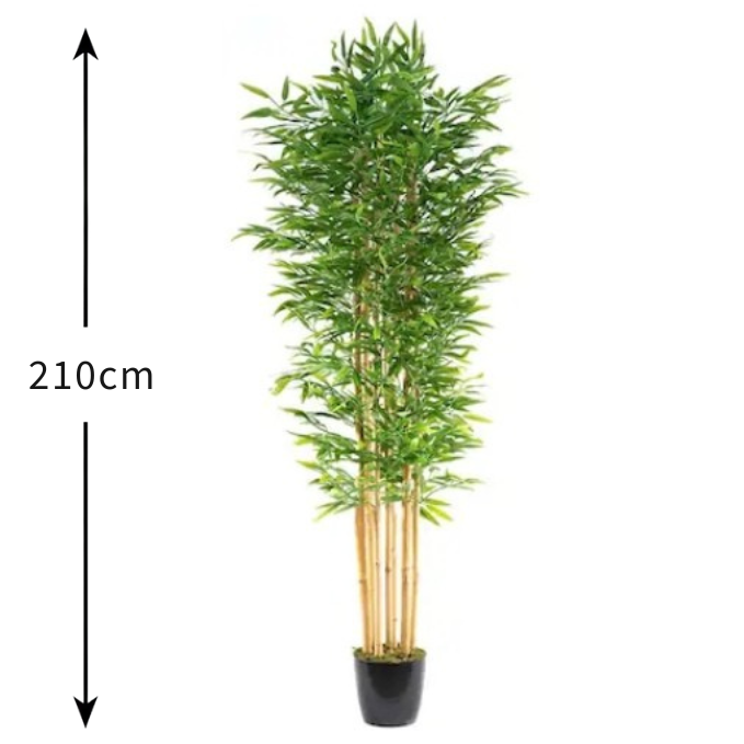Garden Gyani 180cm Semi-Natural Bamboo Plant with Pot – 6ft Real-Trunk Faux Indoor Bamboo Tree for Home, Office & Zen Décor
