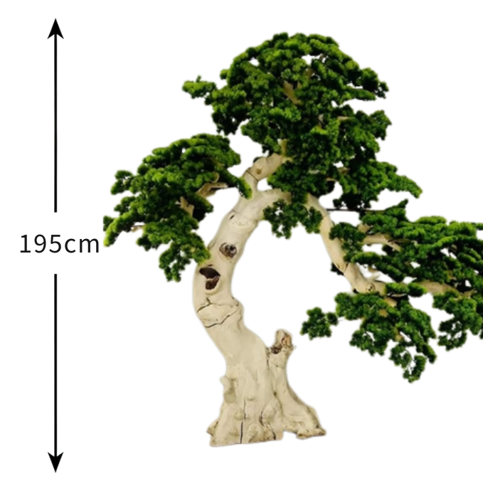Garden Gyani 195cm Semi-Natural Pine Tree Bonsai with Pot – Real-Trunk Faux Indoor Tree for Home, Office & Luxury Décor