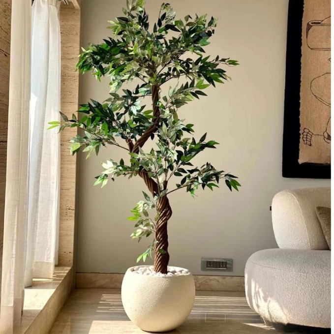 Garden Gyani Twisted Olive Tree – 180 cm Tall Artificial Plant Without Pot | Lifelike Faux Indoor & Outdoor Greenery