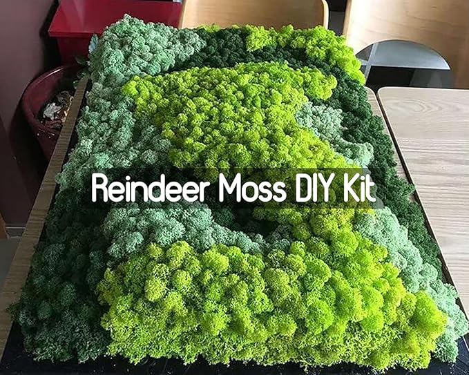 Garden Gyani Prefleur Preserved Reindeer Craft Moss | Natural Green DIY Kit for Gardening, Arts & Crafts, Florist Projects, Wedding Backdrop & Home Decoration