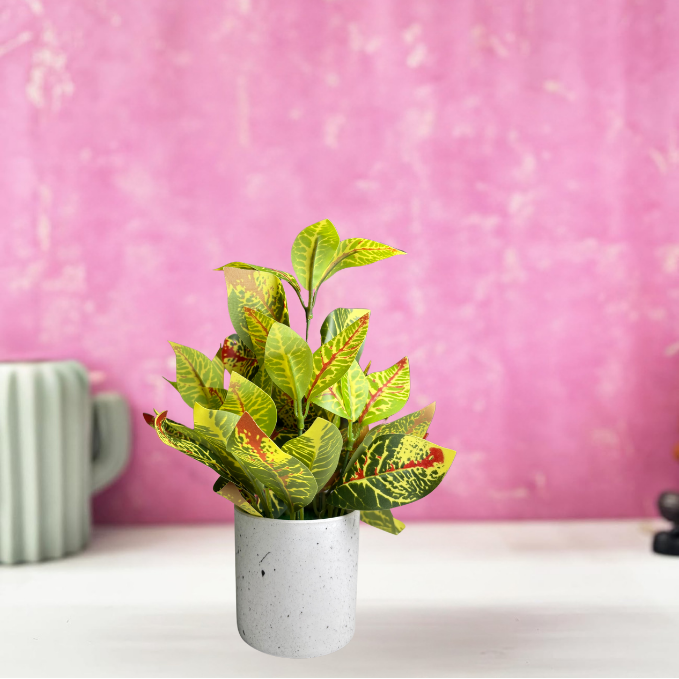 Garden Gyani Artificial Rubber Plant – Small Faux Potted Plant for Tabletop, Home, Bathroom & Office Décor | Indoor Decorative Greenery