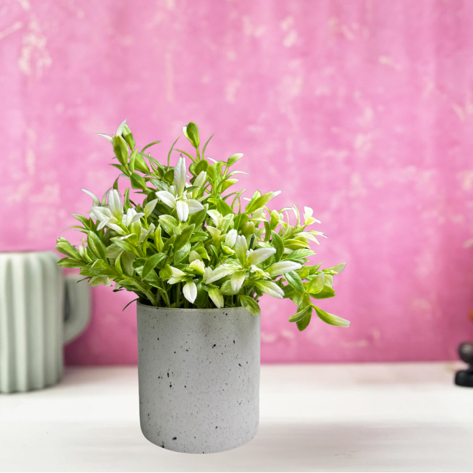 Garden Gyani Artificial Rubber Plant – Small Faux Potted Plant for Tabletop, Home, Bathroom & Office Décor | Indoor Decorative Greenery
