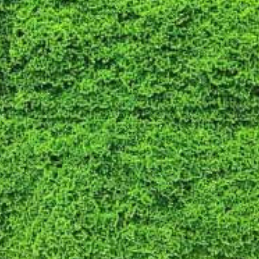 Garden Gyani Artificial Grass Wall Panel 50×50 cm | Dense Moss Style Green Mat | UV Protected Indoor Outdoor Decor