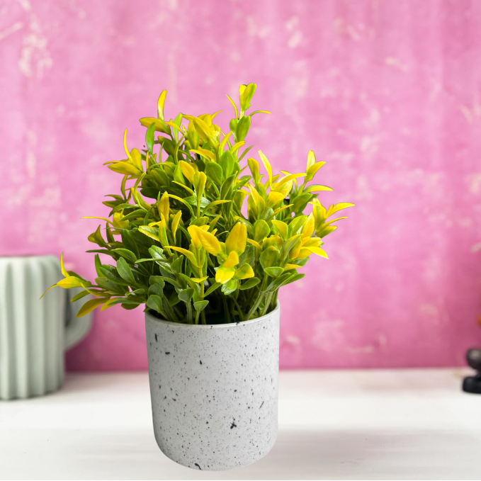 Garden Gyani Artificial Rubber Plant – Small Faux Potted Plant for Tabletop, Home, Bathroom & Office Décor | Indoor Decorative Greenery