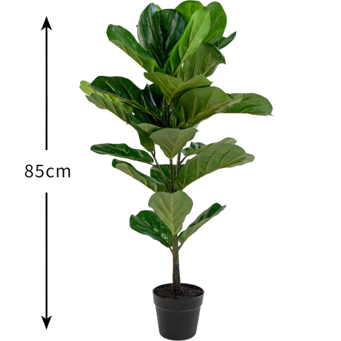 Garden Gyani Fiddle X1 – 85 cm Tall Artificial Plant | Lifelike Faux Indoor & Outdoor Décor Without Pot
