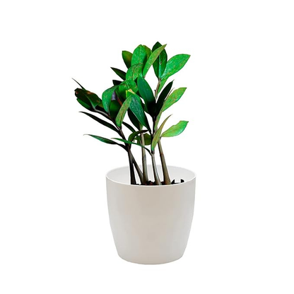 Garden Gyani Flower Pots - 4.4 Inch Plastic Flower Pots | Modern Decorative Indoor Outdoor Planters/Pots - Plant Not Included - Pack of 3