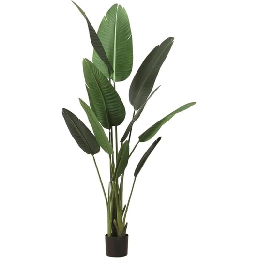 Garden Gyani 160cm Artificial Traveller Palm Tree with Pot – 10 Leaves Faux Tropical Indoor Plant for Home & Office Décor