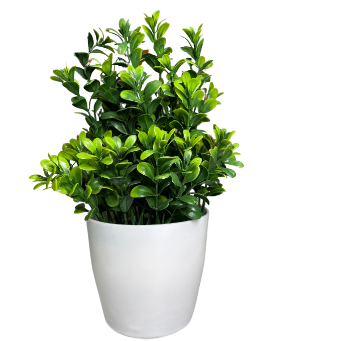 Garden Gyani Artificial Rubber Plant – Small Faux Potted Plant for Tabletop, Home, Bathroom & Office Décor | Indoor Decorative Greenery