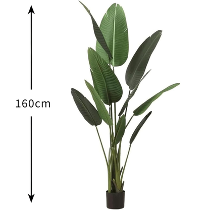 Garden Gyani 160cm Artificial Traveller Palm Tree with Pot – 10 Leaves Faux Tropical Indoor Plant for Home & Office Décor