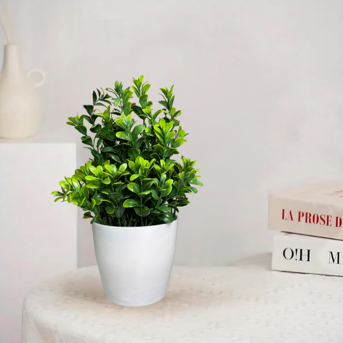 Garden Gyani Artificial Rubber Plant – Small Faux Potted Plant for Tabletop, Home, Bathroom & Office Décor | Indoor Decorative Greenery