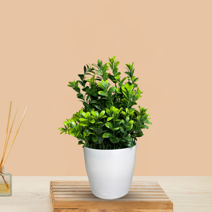 Garden Gyani Artificial Rubber Plant – Small Faux Potted Plant for Tabletop, Home, Bathroom & Office Décor | Indoor Decorative Greenery