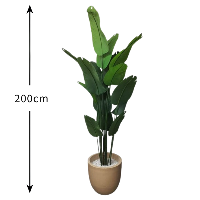Garden Gyani 200cm Artificial Traveller Palm Tree – 15 Leaves Extra Tall Faux Tropical Plant Without Pot for Home, Office & Event Décor