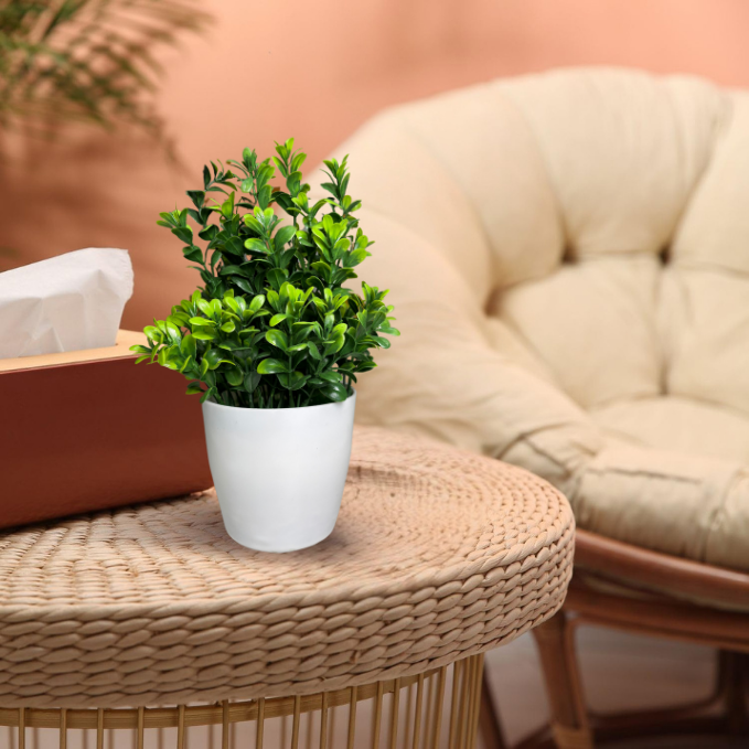 Garden Gyani Artificial Rubber Plant – Small Faux Potted Plant for Tabletop, Home, Bathroom & Office Décor | Indoor Decorative Greenery