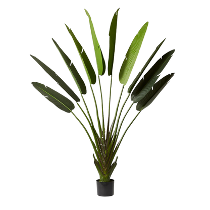 Garden Gyani 220cm Artificial Traveller Palm Tree with Pot – 9 Leaves Extra Tall Faux Tropical Indoor Plant for Home, Office & Hotel Décor