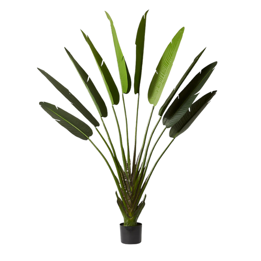 Garden Gyani 220cm Artificial Traveller Palm Tree with Pot – 9 Leaves Extra Tall Faux Tropical Indoor Plant for Home, Office & Hotel Décor