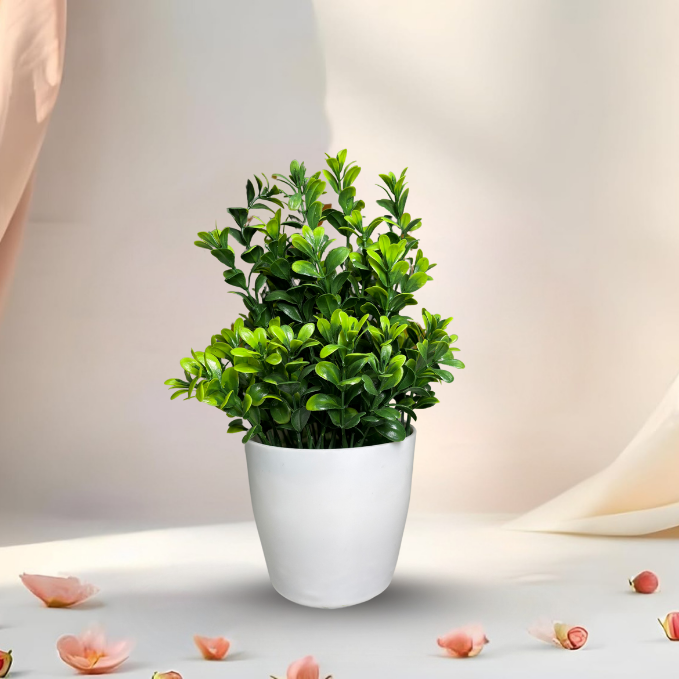 Garden Gyani Artificial Rubber Plant – Small Faux Potted Plant for Tabletop, Home, Bathroom & Office Décor | Indoor Decorative Greenery