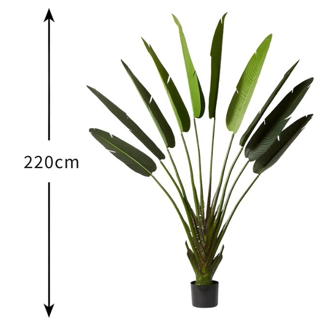 Garden Gyani 220cm Artificial Traveller Palm Tree with Pot – 9 Leaves Extra Tall Faux Tropical Indoor Plant for Home, Office & Hotel Décor