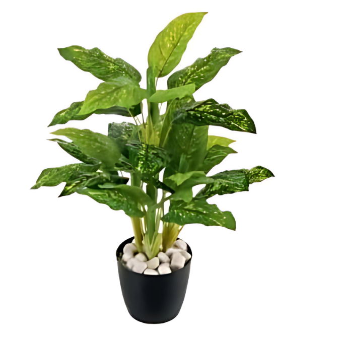 Garden Gyani 100CM Real Touch Artificial Dieffenbachia Plant (X5, Without Pot) – Lifelike Tropical Green Plant for Home & Office Décor
