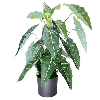 Garden Gyani Alocasia Polly Artificial Plant with Pot – 80cm Tall Faux African Mask Plant with Bold Veined Leaves | Indoor Tropical Plant for Home & Office Decor