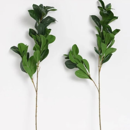 Garden Gyani Faux Lemon Leaves – 26" Artificial Green Leaf Branches (Pack of 2) | Faux Greenery Stems for Home & Event Décor | Pot Not Included