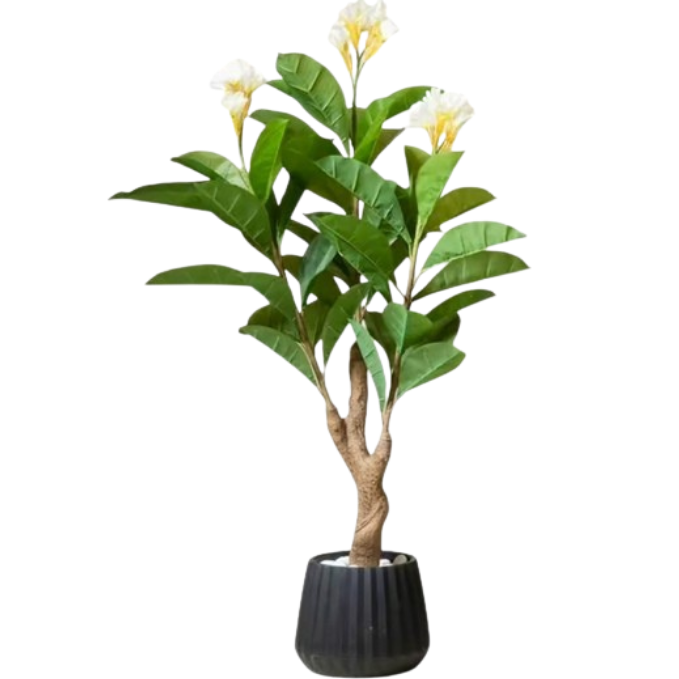 Garden Gyani Frangipani X3 – 150 cm Tall Artificial Plant | Lifelike Faux Indoor & Outdoor Décor Without Pot