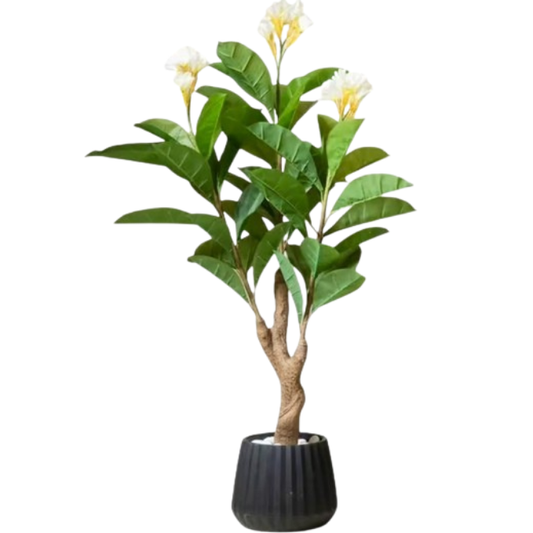 Garden Gyani Frangipani X3 – 150 cm Tall Artificial Plant | Lifelike Faux Indoor & Outdoor Décor Without Pot