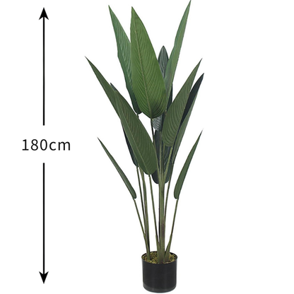 Garden Gyani 180cm Artificial Bird of Paradise Plant with Pot – Tall Faux Tropical Indoor Tree for Home, Office & Hotel Décor