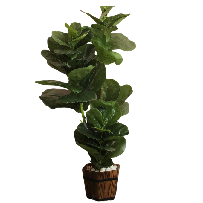 Garden Gyani Fiddle X4 – 120 cm Tall Artificial Plant | Lifelike Faux Indoor & Outdoor Décor Without Pot