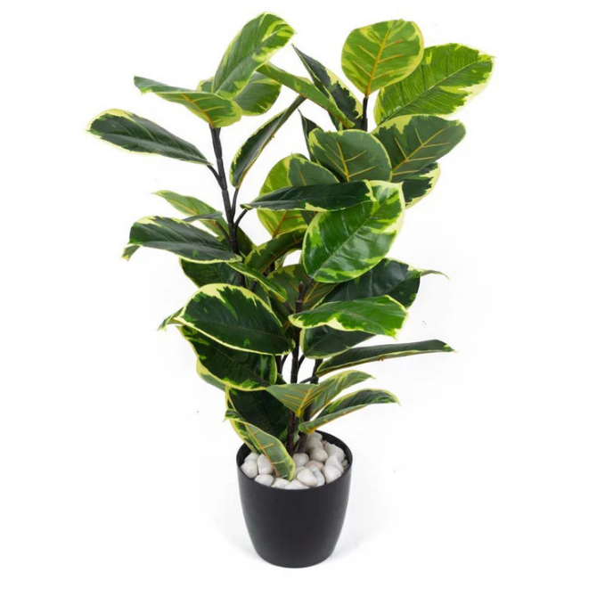 Garden Gyani Rubber Plant – 90 cm Tall Artificial Plant | Lifelike Faux Indoor/Outdoor Décor Without Pot
