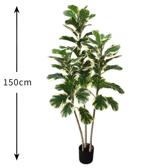 Garden Gyani Variegated Fiddle Leaf Fig – 150 cm Tall Artificial Plant with Pot | Lifelike Faux Indoor Decorative Greenery