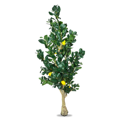 Garden Gyani Natural Olive Silk Tree – 5.4 Feet Tall Lifelike Faux Green Olive Plant for Home, Office & Indoor Décor | Realistic Artificial Tree with Slender Trunk & Dense Leaves