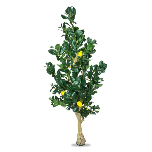 Garden Gyani Natural Olive Silk Tree – 5.4 Feet Tall Lifelike Faux Green Olive Plant for Home, Office & Indoor Décor | Realistic Artificial Tree with Slender Trunk & Dense Leaves