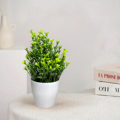 Garden Gyani Artificial Rubber Plant – Small Faux Potted Plant for Tabletop, Home, Bathroom & Office Décor | Indoor Decorative Greenery