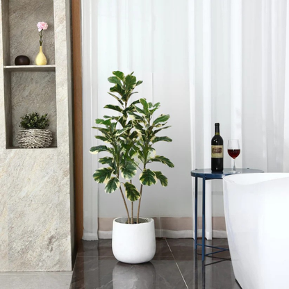 Garden Gyani Variegated Fiddle Leaf Fig – 150 cm Tall Artificial Plant with Pot | Lifelike Faux Indoor Decorative Greenery