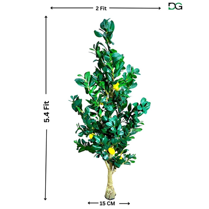 Garden Gyani Natural Olive Silk Tree – 5.4 Feet Tall Lifelike Faux Green Olive Plant for Home, Office & Indoor Décor | Realistic Artificial Tree with Slender Trunk & Dense Leaves