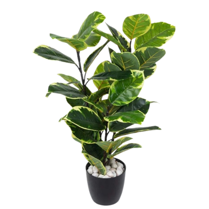 Garden Gyani Rubber Plant – 90 cm Tall Artificial Plant | Lifelike Faux Indoor/Outdoor Décor Without Pot