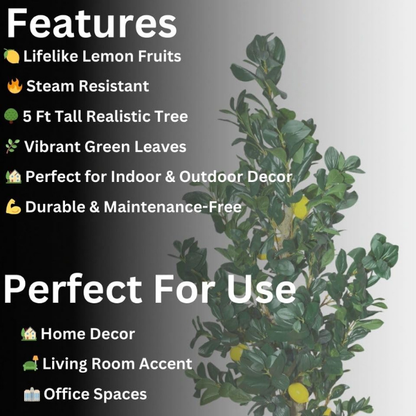 Garden Gyani Natural Olive Silk Tree – 5.4 Feet Tall Lifelike Faux Green Olive Plant for Home, Office & Indoor Décor | Realistic Artificial Tree with Slender Trunk & Dense Leaves