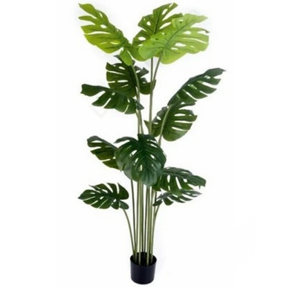 Garden Gyani Monstera 12 Leaves – 150 cm Tall Artificial Plant with Pot | Lifelike Faux Tropical Décor for Home & Office