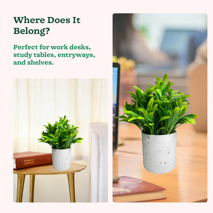 Garden Gyani Artificial Rubber Plant – Small Faux Potted Plant for Tabletop, Home, Bathroom & Office Décor | Indoor Decorative Greenery