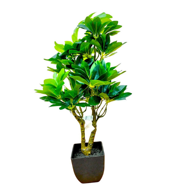 Garden Gyani Schefflera Artificial Potted Plant – 24 Inch Tall Faux Green Plant with 250+ Leaves & 2 Branches | Decorative Plastic Pot | Lifelike Indoor Plant for Home & Office Décor