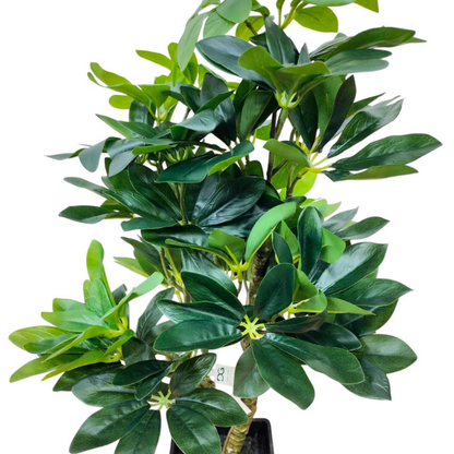 Garden Gyani Schefflera Artificial Potted Plant – 24 Inch Tall Faux Green Plant with 250+ Leaves & 2 Branches | Decorative Plastic Pot | Lifelike Indoor Plant for Home & Office Décor