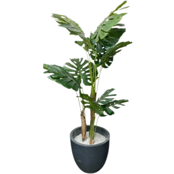 Garden Gyani Monstera X12 – 170 cm Tall Artificial Plant Without Pot | Lifelike Faux Tropical Greenery for Home & Office Décor