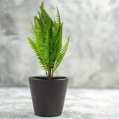 Garden Gyani Artificial Bush – Small Decorative Faux Green Plant for Tabletop, Home & Office | Without Pot | Pack of 1