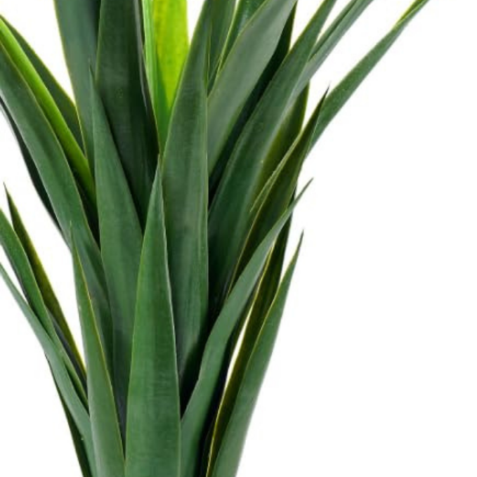 Garden Gyani Artificial Yucca Plant – 75 cm Tall Faux Green Plant for Indoor & Outdoor Décor | Lifelike Maintenance-Free Decorative Plant | Pot Not Included