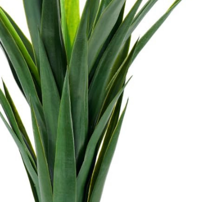 Garden Gyani Artificial Yucca Plant – 75 cm Tall Faux Green Plant for Indoor & Outdoor Décor | Lifelike Maintenance-Free Decorative Plant | Pot Not Included